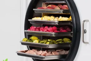 How Does a Freeze Dryer Work?