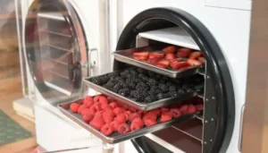 دستگاه فریز درایر